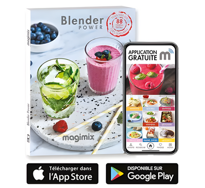 Blender MAGIMIX Power 5 XL Chrome Mat 11643 R